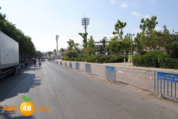 blomfeiled 803 (3).JPG